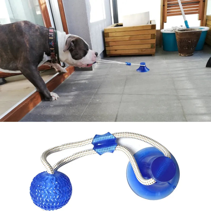 Suction Cup Dog Tug Toy