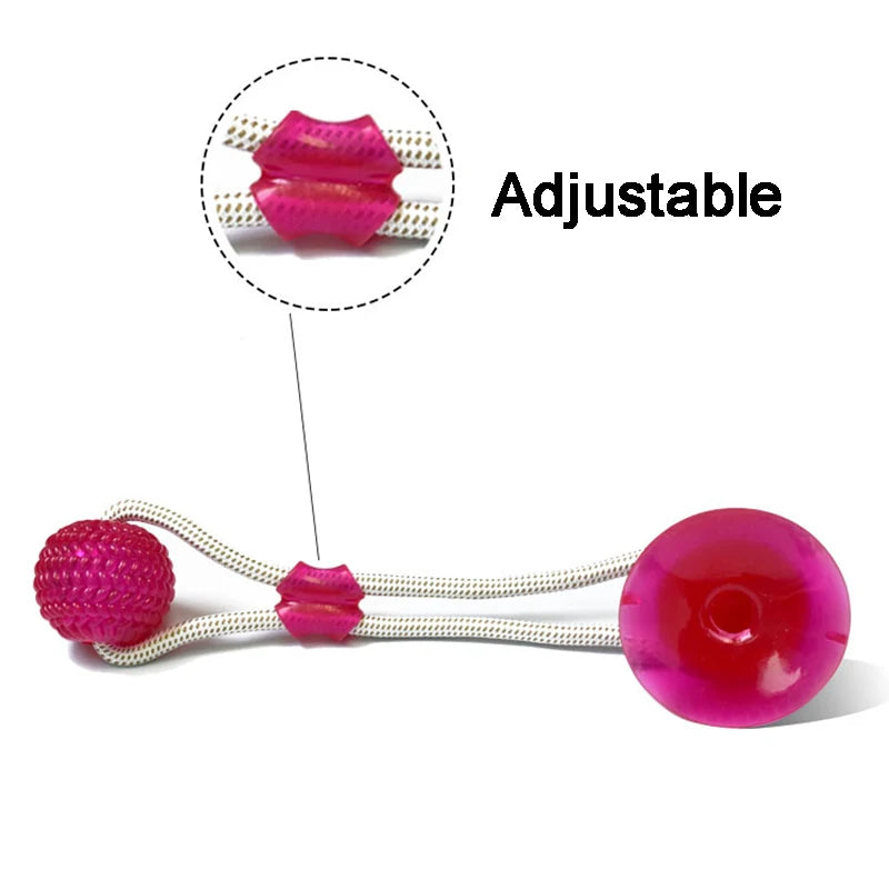 Suction Cup Dog Tug Toy