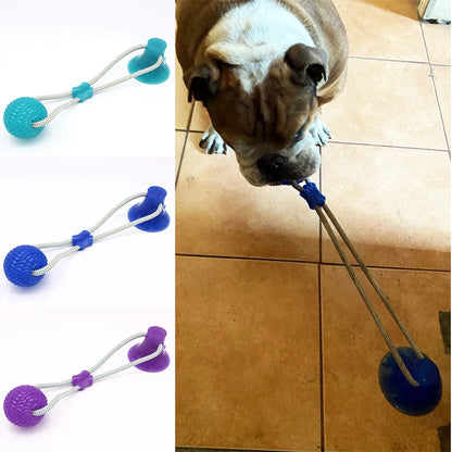 Suction Cup Dog Tug Toy