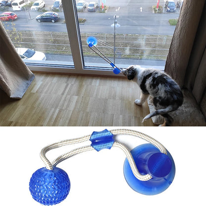 Suction Cup Dog Tug Toy