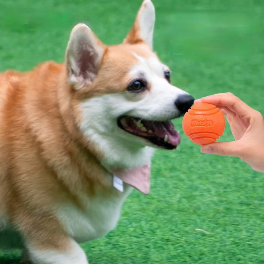 Bouncy Rubber Dog Ball Toy