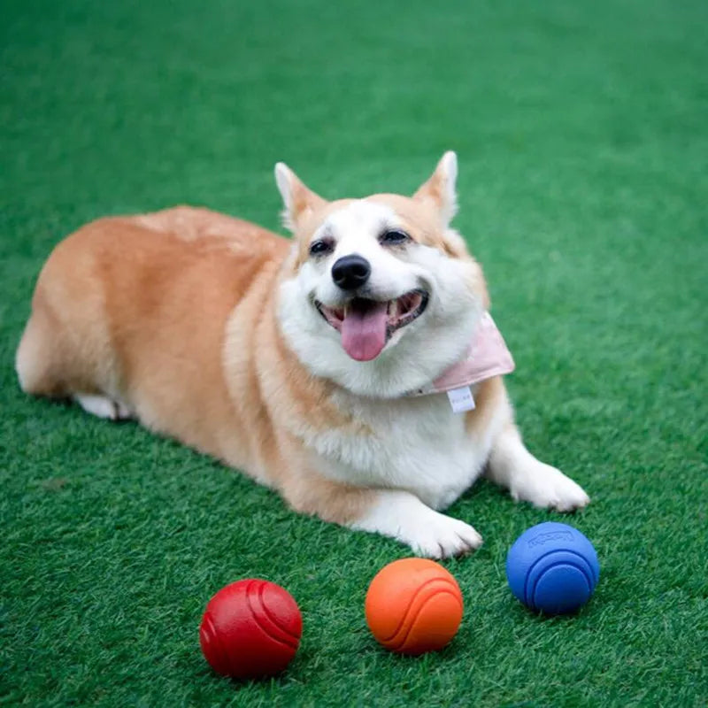 Bouncy Rubber Dog Ball Toy