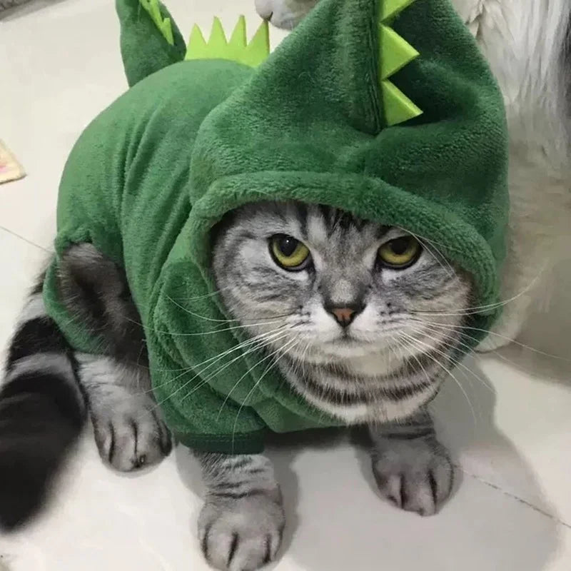 RAWR! Dinosaur Cat Costume