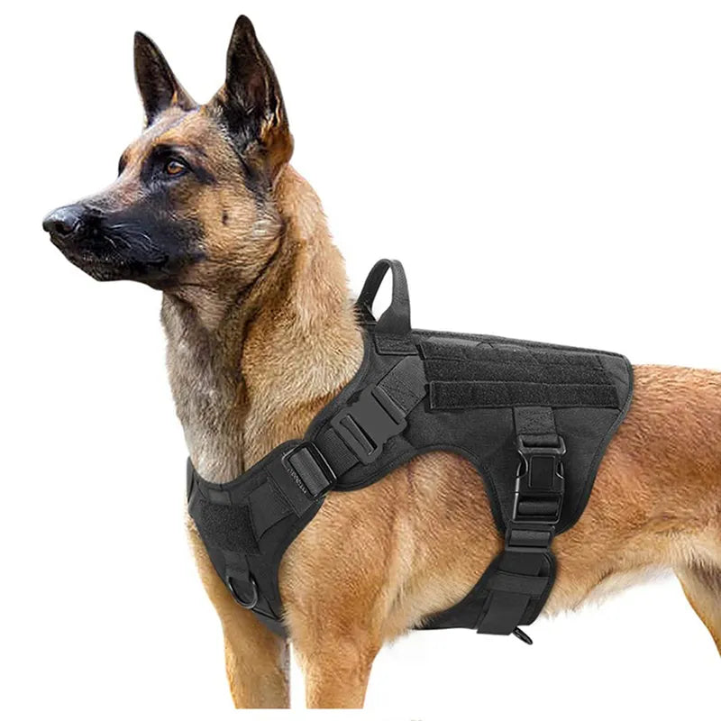 Tactical Military Harness