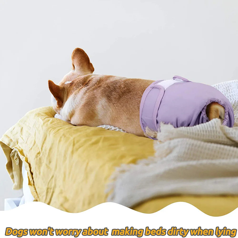 Doggy Diaper Female Sanitary Pants