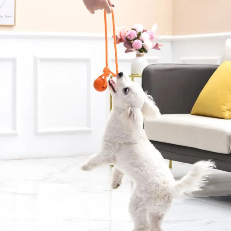 Indestructible Rubber Ball With Rope Dog Tug Toy