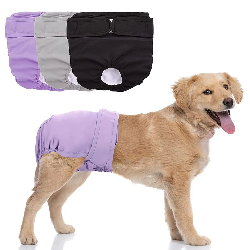 Doggy Diaper Female Sanitary Pants