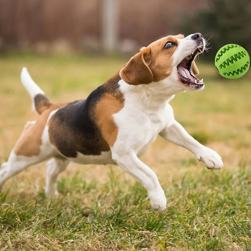 Tooth Cleaning Silicone Chew Toy